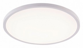 Накладной светильник Natali Kovaltseva PLAIN LED LAMPS 81113/5C в Тавде - tavda.ok-mebel.com | фото
