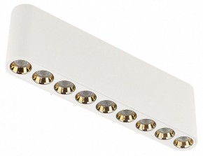 Накладной светильник Odeon Light Small 7091/21CL в Тавде - tavda.ok-mebel.com | фото