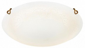 Накладной светильник Sonex Ammonite 7602/DL в Тавде - tavda.ok-mebel.com | фото 3