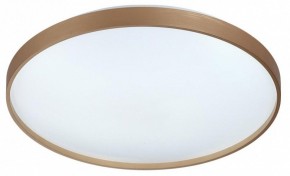 Накладной светильник Sonex Gaby 7783/EL в Тавде - tavda.ok-mebel.com | фото 4