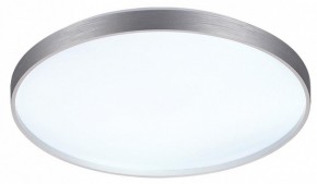 Накладной светильник Sonex Gaby 7784/EL в Тавде - tavda.ok-mebel.com | фото 4