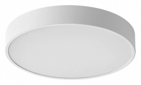 Накладной светильник Sonex Quasar 7755/36L в Тавде - tavda.ok-mebel.com | фото