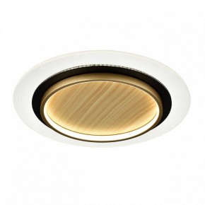 Накладной светильник Sonex Sunny 7731/80L в Тавде - tavda.ok-mebel.com | фото 4