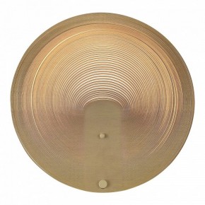 Накладной светильник ST-Luce Fossil SL6900.501.16 в Тавде - tavda.ok-mebel.com | фото 2