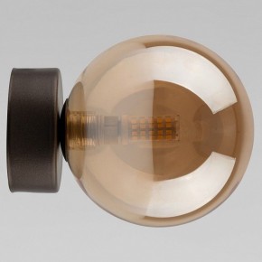 Накладной светильник TK Lighting Estera 10256 Estera в Тавде - tavda.ok-mebel.com | фото