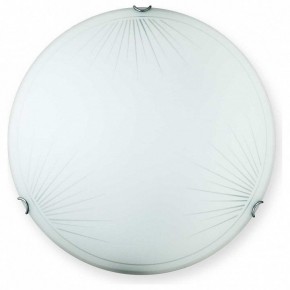 Накладной светильник TopLight Wifa TL9142Y-00WH в Тавде - tavda.ok-mebel.com | фото