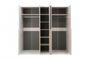 НИКОЛЬ 25 Шкаф 5-ти створчатый в Тавде - tavda.ok-mebel.com | фото 3