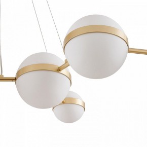 Подвесная люстра Favourite Asterismo 4448-8P в Тавде - tavda.ok-mebel.com | фото 5