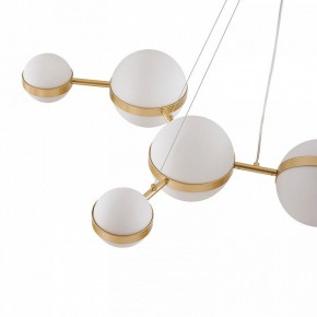 Подвесная люстра Favourite Asterismo 4448-8P в Тавде - tavda.ok-mebel.com | фото 7