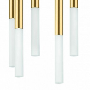 Подвесная люстра Lightstar Tubo L8T747133 в Тавде - tavda.ok-mebel.com | фото 5