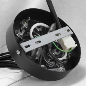 Подвесная люстра Lussole Seneca GRLSP-8177 в Тавде - tavda.ok-mebel.com | фото 10