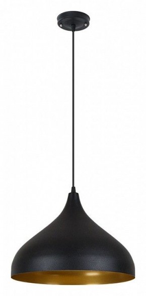 Подвесной светильник Arte Lamp Carmel A7076SP-1BK в Тавде - tavda.ok-mebel.com | фото 2