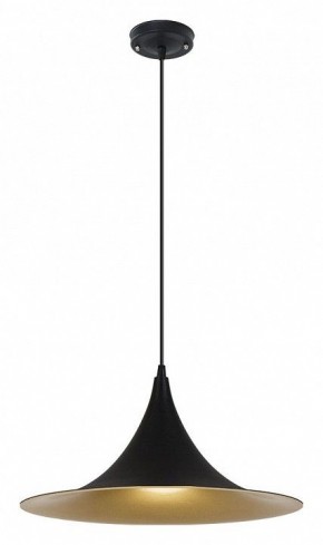 Подвесной светильник Arte Lamp Carmel A7080SP-1BK в Тавде - tavda.ok-mebel.com | фото 2