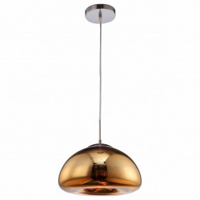 Подвесной светильник Arte Lamp Swift A8041SP-1GO в Тавде - tavda.ok-mebel.com | фото 2