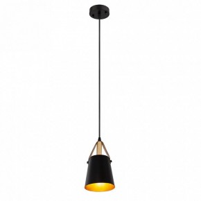 Подвесной светильник Arte Lamp Thomas A7032SP-1BK в Тавде - tavda.ok-mebel.com | фото 3