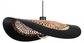 Подвесной светильник Arte Lamp Woodstock A7059SP-1BK в Тавде - tavda.ok-mebel.com | фото