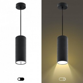 Подвесной светильник Эра  PL12 GX53 BK/SL в Тавде - tavda.ok-mebel.com | фото 5