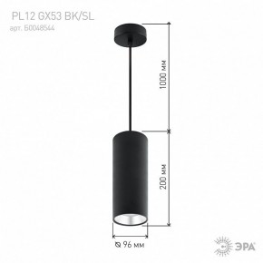 Подвесной светильник Эра  PL12 GX53 BK/SL в Тавде - tavda.ok-mebel.com | фото 8