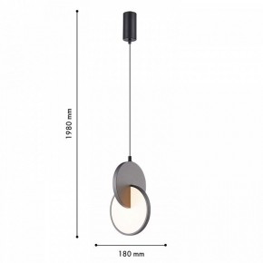 Подвесной светильник F-promo Grahan 4609-1P в Тавде - tavda.ok-mebel.com | фото 4