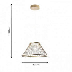 Подвесной светильник Favourite Fibra 4634-6P в Тавде - tavda.ok-mebel.com | фото 4