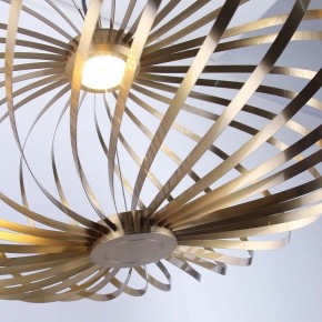 Подвесной светильник Favourite Spring 4680-1P в Тавде - tavda.ok-mebel.com | фото 5