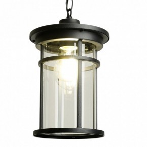 Подвесной светильник Feron PL765 51819 в Тавде - tavda.ok-mebel.com | фото 3