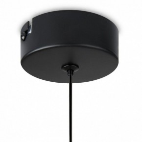 Подвесной светильник Freya Idol FR6134PL-L4SM в Тавде - tavda.ok-mebel.com | фото 8