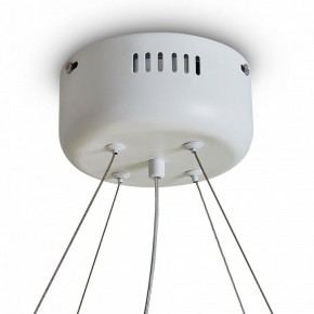 Подвесной светильник Freya Rain FR5546PL-L60W в Тавде - tavda.ok-mebel.com | фото 9