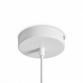 Подвесной светильник Freya Shapes FR5530PL-L10W в Тавде - tavda.ok-mebel.com | фото 5
