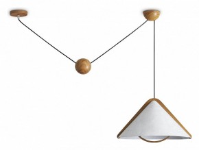 Подвесной светильник Freya Umbra FR5554CL-01T в Тавде - tavda.ok-mebel.com | фото