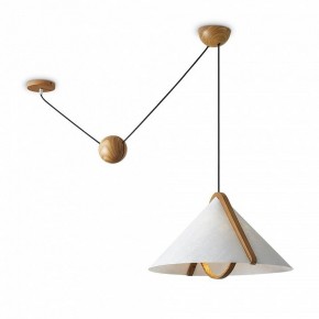 Подвесной светильник Freya Umbra FR5554CL-01T в Тавде - tavda.ok-mebel.com | фото 2