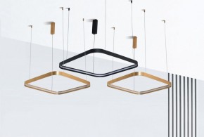 Подвесной светильник Italline IT013-6024 IT013-6024 black 3000K в Тавде - tavda.ok-mebel.com | фото 5