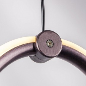 Подвесной светильник Lightstar Caramello 796113 в Тавде - tavda.ok-mebel.com | фото 9
