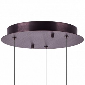 Подвесной светильник Lightstar Caramello 796139 в Тавде - tavda.ok-mebel.com | фото 13