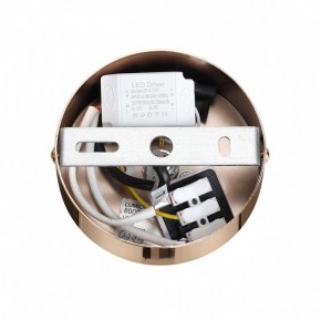 Подвесной светильник Lumion Cristie 8009/6L в Тавде - tavda.ok-mebel.com | фото 6