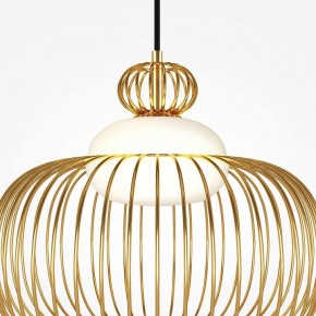 Подвесной светильник Maytoni Levitation MOD376PL-01G в Тавде - tavda.ok-mebel.com | фото 6