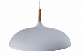 Подвесной светильник Moderli Hygo V11447-1P в Тавде - tavda.ok-mebel.com | фото