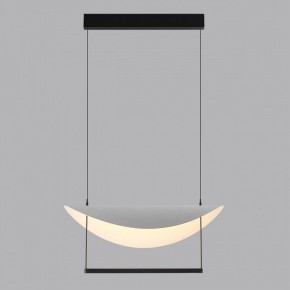 Подвесной светильник Odeon Light Next 7015/20L в Тавде - tavda.ok-mebel.com | фото 4