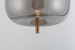 Подвесной светильник Rivoli Claire Б0061905 в Тавде - tavda.ok-mebel.com | фото 11