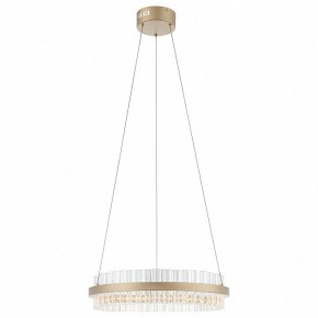 Подвесной светильник ST-Luce Cherio SL383.203.01 в Тавде - tavda.ok-mebel.com | фото 3