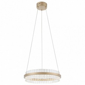 Подвесной светильник ST-Luce Cherio SL383.203.01 в Тавде - tavda.ok-mebel.com | фото 4