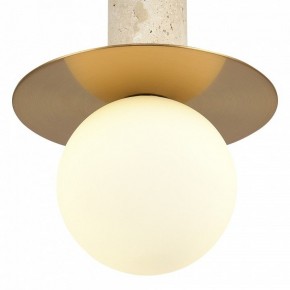 Подвесной светильник ST-Luce Earthy SL1194.303.01 в Тавде - tavda.ok-mebel.com | фото 5