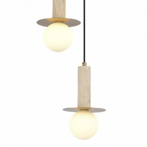 Подвесной светильник ST-Luce Earthy SL1194.303.03 в Тавде - tavda.ok-mebel.com | фото 4