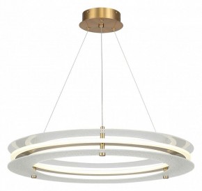 Подвесной светильник ST-Luce FAGY SL6245.203.01 в Тавде - tavda.ok-mebel.com | фото 2