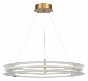 Подвесной светильник ST-Luce FAGY SL6245.203.01 в Тавде - tavda.ok-mebel.com | фото 3