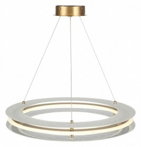 Подвесной светильник ST-Luce FAGY SL6245.203.01 в Тавде - tavda.ok-mebel.com | фото 4