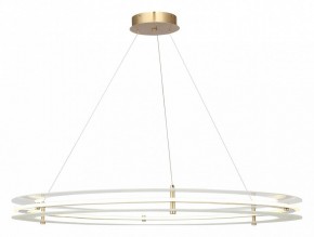 Подвесной светильник ST-Luce FAGY SL6245.213.01 в Тавде - tavda.ok-mebel.com | фото 2