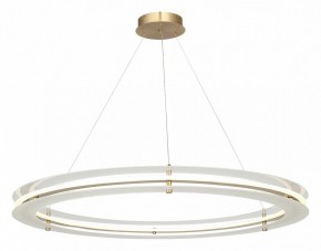 Подвесной светильник ST-Luce FAGY SL6245.213.01 в Тавде - tavda.ok-mebel.com | фото 4