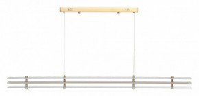 Подвесной светильник ST-Luce FAGY SL6245.223.01 в Тавде - tavda.ok-mebel.com | фото 3