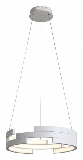 Подвесной светильник ST-Luce Genuine SL963.503.01 в Тавде - tavda.ok-mebel.com | фото 4